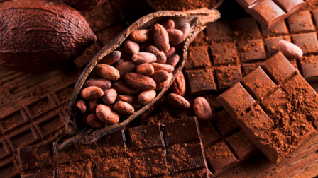 Schokotrends & Nachhaltigkeit