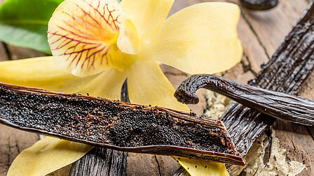 Vanille in der Patisserie: Aroma, Sensorik & kreative Desserts