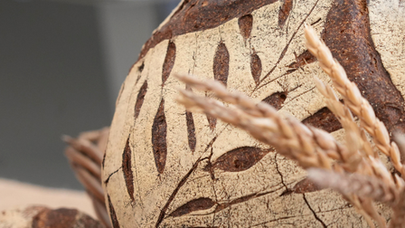 Brote mit Weizen-Sauerteig herstellen – Grundkurs 1